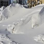 36f4573743231500d2c50317edc2da4b