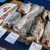 4929e30d4f54d02653475691ab56642b