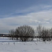 5eafd32d8a483c53f7da64b90721b2a8