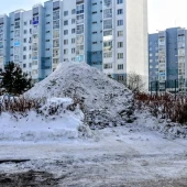 69891ab298adf7550cd927e041f751a9