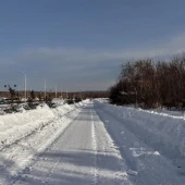 7e445c48d65871289dabd04a08a287f3