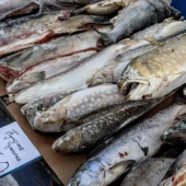 9d400c67d2f53f548590a4f7f84c4720