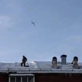 e8d55c7180d00cb8abcc8c79d6a60eee