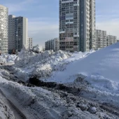 e8db2c735e79e641d386a52dd33598b7