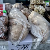 f65e25c279b0d282086569ba73d2b01f