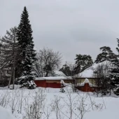 47479267bc1d705dbf08ad5e791e2bef