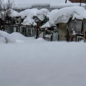 852ac69244af27ef20bda66d349f7e44