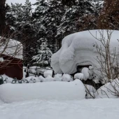 8dfef3594b294a343944e7a47cda2106