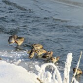 1d462f0b294a41695bc7b4d7e08d6942