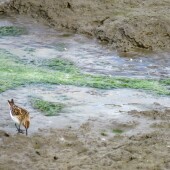 a2fae82ae00d3da18fa2ad3469897b95