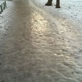 6b9142e541a74ef9227d1a867e68a621