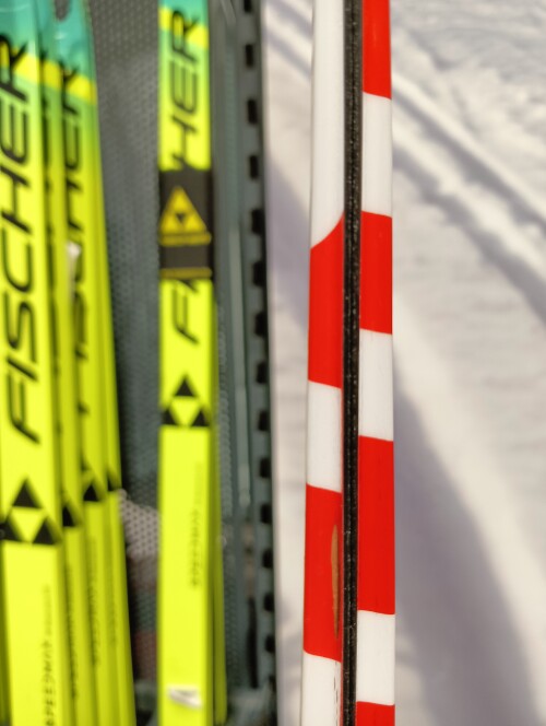 IMG20260212123356 — копия