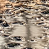 f977c072ff0832015f3a0918801c2d2a