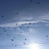 1b059101a2c9ad1a6756b03bb9758da3