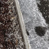 55a1a53c452896a7bfd825fbac87a8f7