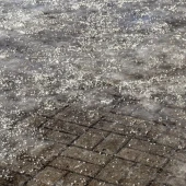 72313df5b949d83094c98b791bbdabd0