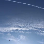 af6d07c304c5c779fe126d55ac33be7f