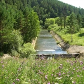 136b7359f198445a4d54fcb33df471d6