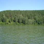 245ac57a94e541c0dc65d0bc98eb5289