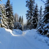 69828c5361d325360fc1a7b6edf030f0