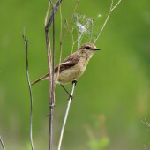 822a8310f4fb2ead6f4687e5c416fec0