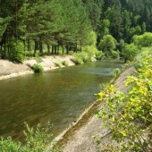 a51365452dfda0dd71c79a98db5fbcad