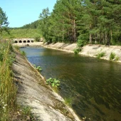 af225ca4d80d0263d2b80d4218ed05d8