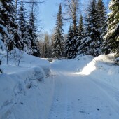 b8cfa3d3f44e9e0987ea869cc3a7f34e