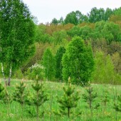 cc64e2ed464b17d6082e65cec4a70951