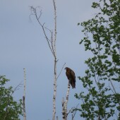 d67201235903831d15ccae04b37c9b6c