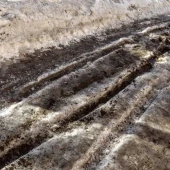 1f9a704693acfe2676547048f005be76