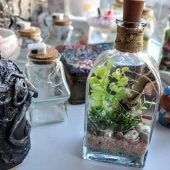 8f4ac4b1fd1f9e599bd309a56afc25aa