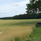 03ca49131a51040a057426c0e295d455