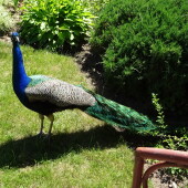 2b6051a324f290875977089735a7cd46