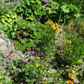 2dd5a57a941255135c21bbfa3a85e4e2