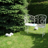 3865e12d4d4ec0bcb6c22ee13b01119f