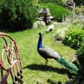 38e7828b409362d82d9ecf6da424787d