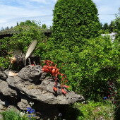 45ddc7e114a5141565145f396808558e