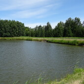 5649ffed086e334d6792b6fe63b6ec81