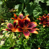 7bde8168c3010666810533d48babf9cc