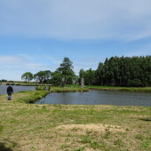 9c98867f59dfa3cf44c2756a6c9915b4