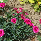 c7efa9fe83fb86f1487799c8d35dd96f