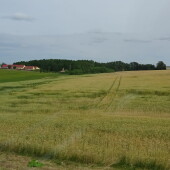 d5b0e7a70e20d665456bd23695719d5d