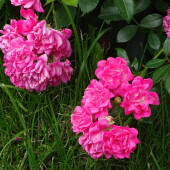 d802bfa03364b9766a34f58ab0801e65