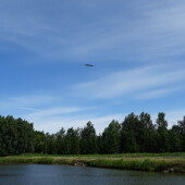 d876930158c7c50b576f98afc2dc90c1