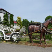 db2f50fccf286db2e81b7d23fbca1cef