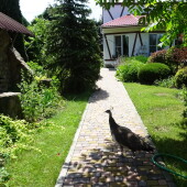 f2ac3f482a0dfdc3bbe87e1f50c26cd6