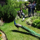 f5defc3b25914cc1e98c944e0f0a6f19