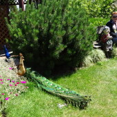 f88b6f71067a8aa39e0762c993c1d1b7