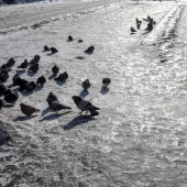 01b2f22314127a3a30594534cb209210